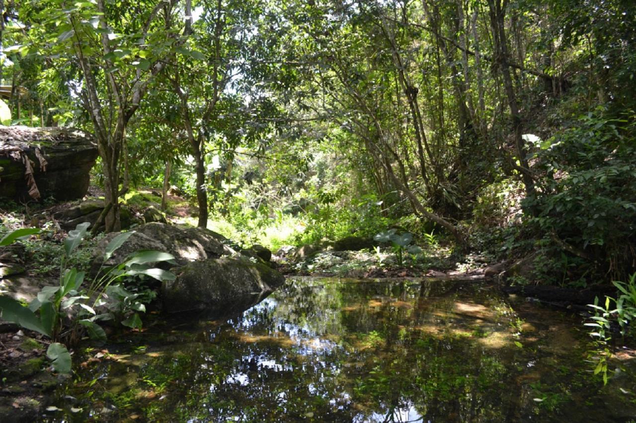 Sitio Alto da Montanha - você em paz com a natureza Pacoti Extérieur photo